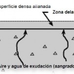 Delaminación de las superficies de concreto terminadas con llana