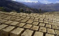 RESUMEN Y COMENTARIOS DEL MANUAL DE DISENO CON BLOQUES DE ADOBE EN ZONAS SISMICAS REALIZADO EN PERU