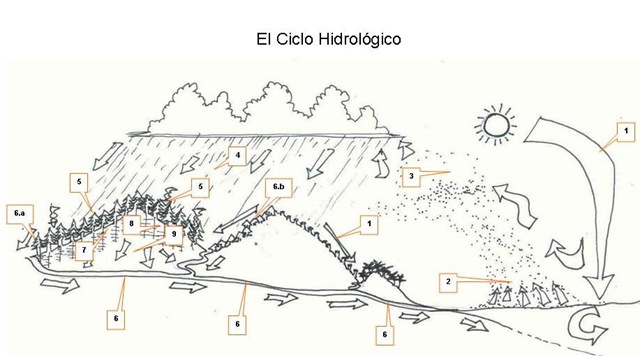 El Ciclo Hidrológico: El Precio de los Daños