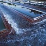 USO DEL AGUA Y ANTROPIZACION.