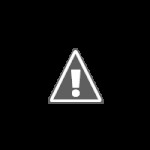 Videocurso de Autocad [Español] [Completo] [Hotfile]