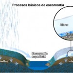 El proceso de Escorrentía o Escurrimiento.