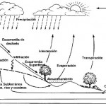 La Hidrología y el Ciclo Hidrológico.