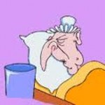 Los Chistes de este Domingo. 