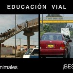 Educación Vial