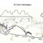 El Ciclo Hidrológico: El Precio de los Daños