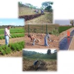 Técnicas de Conservación del Suelo.