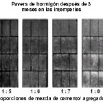 LA EFLORESCENCIA VIII