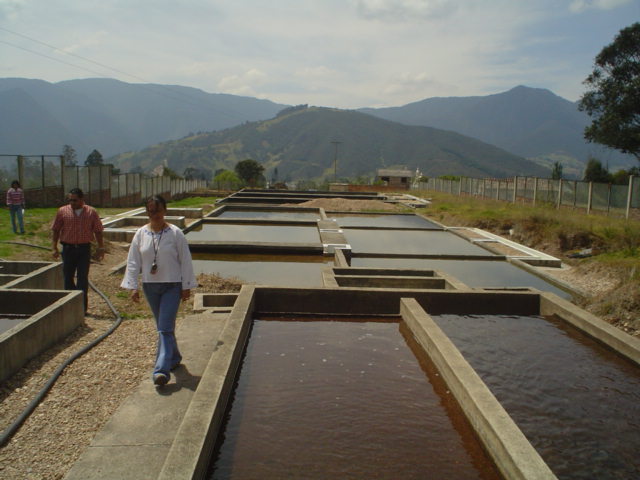 Calidad del agua y tratamiento proyectos de agua potable