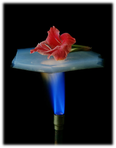 Flor aislada del soplete por una lámina de 6 mm de Aerogel