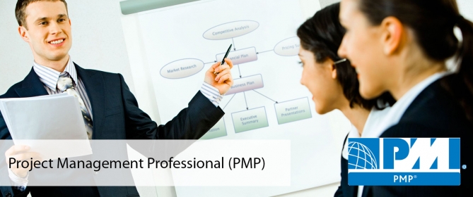Project Management Professional SIN HD
